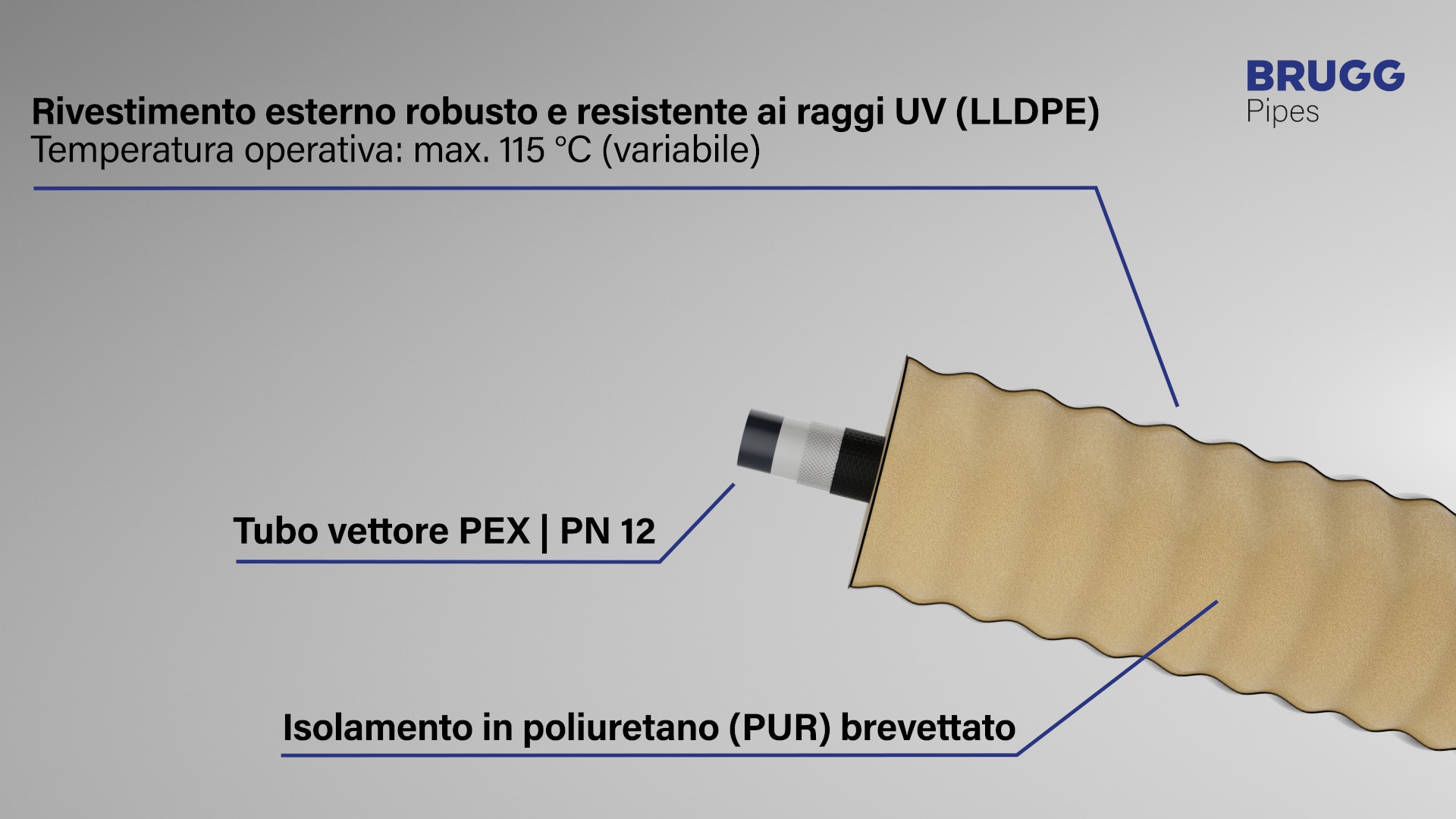 Stratigrafia ARMOPEX
